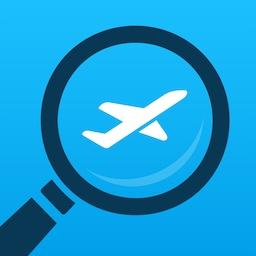 Step 1: Search Flights